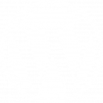 wordpress website agency
